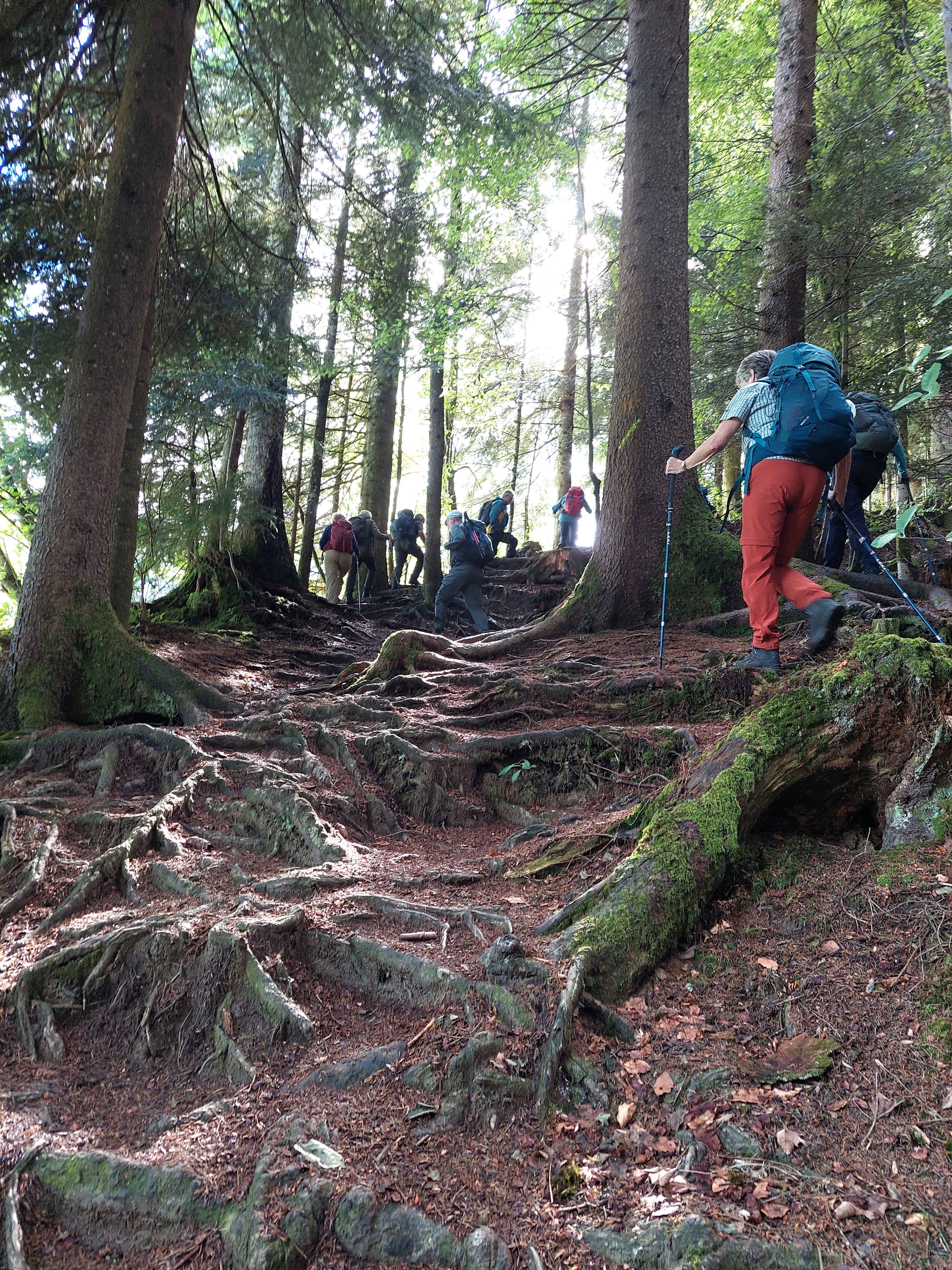 Tourbericht der Wanderung "Von Marbach auf die Marbachegg" vom 11. Juni 2026