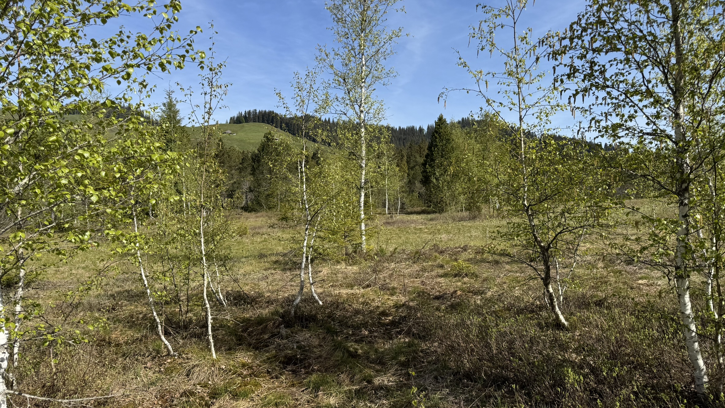 Wanderung "Am Fuss der blauen Berge" vom 21. Mai 2026