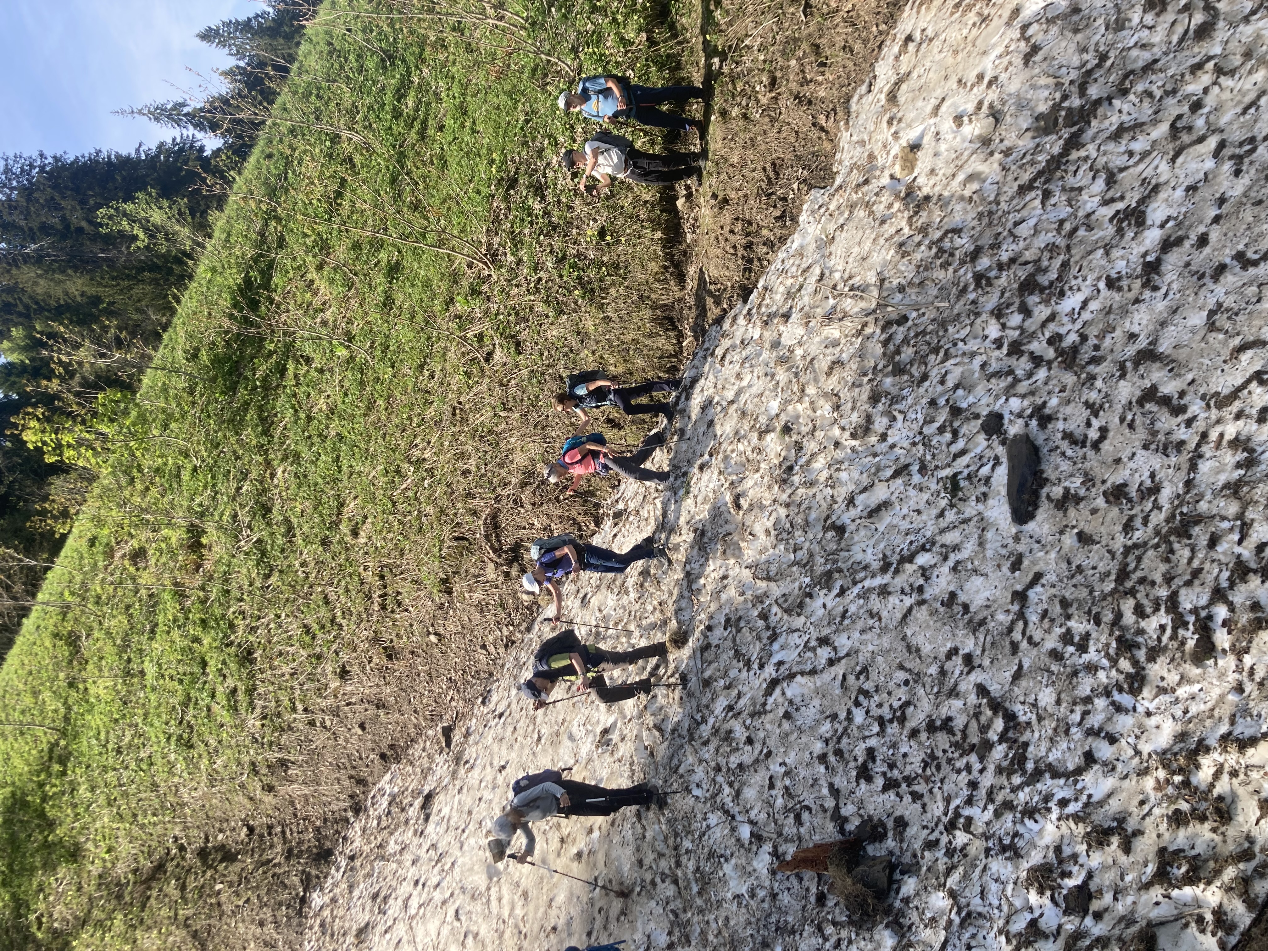 Tourbericht der Wanderung "Am Fuss der blauen Berge" vom 21. Mai 2026